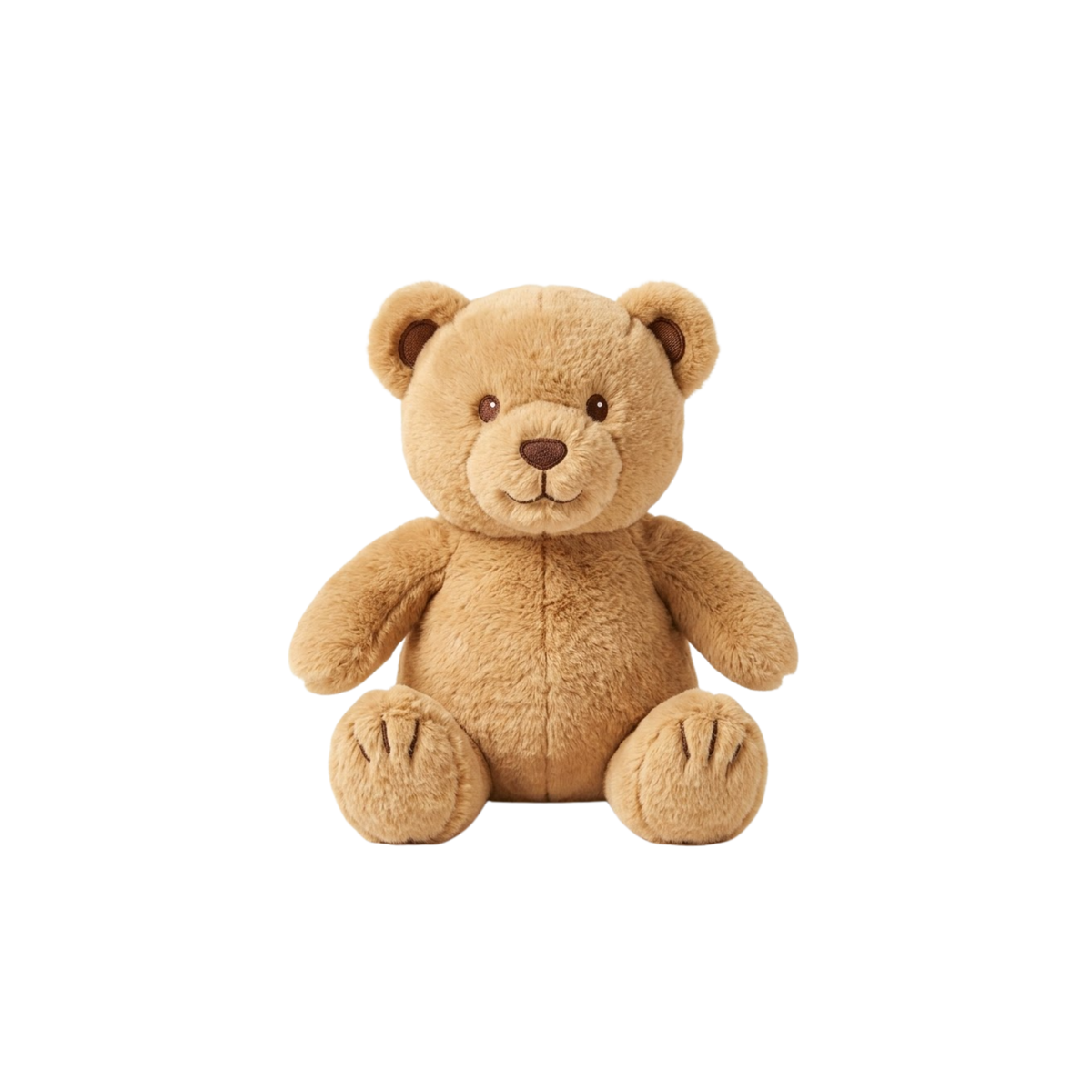 Assorted Bear Dog Toy