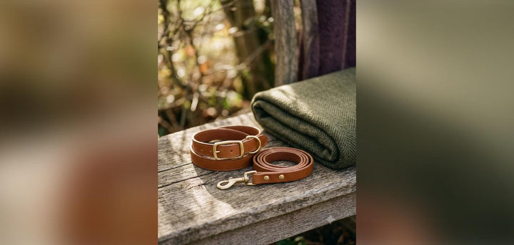 Tan leather dog collar and lead coiled on a wooden bench beside a green blanket
