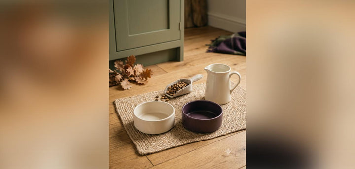 Cream and plum ceramic pet food bowls on a woven mat in a country kitchen