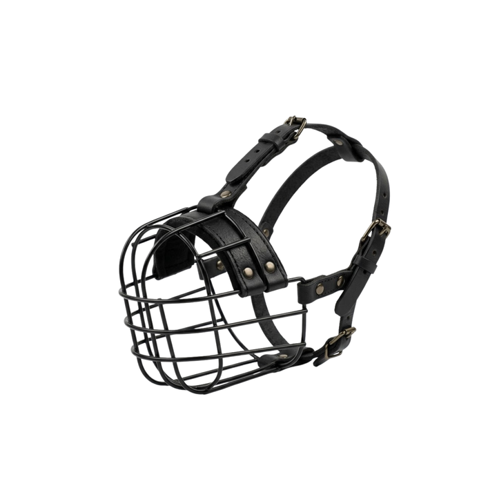 Albury Muzzle