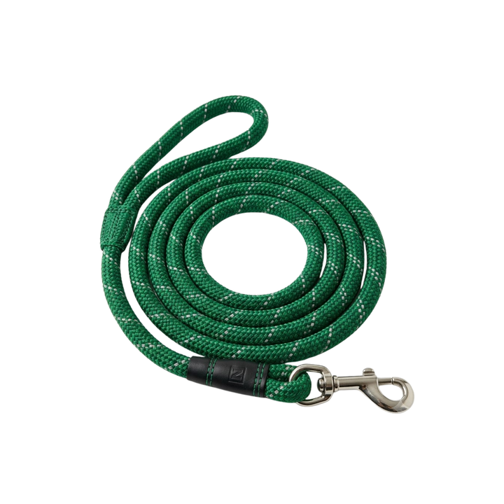 Braided Reflective Dog Lead – Green, Large
