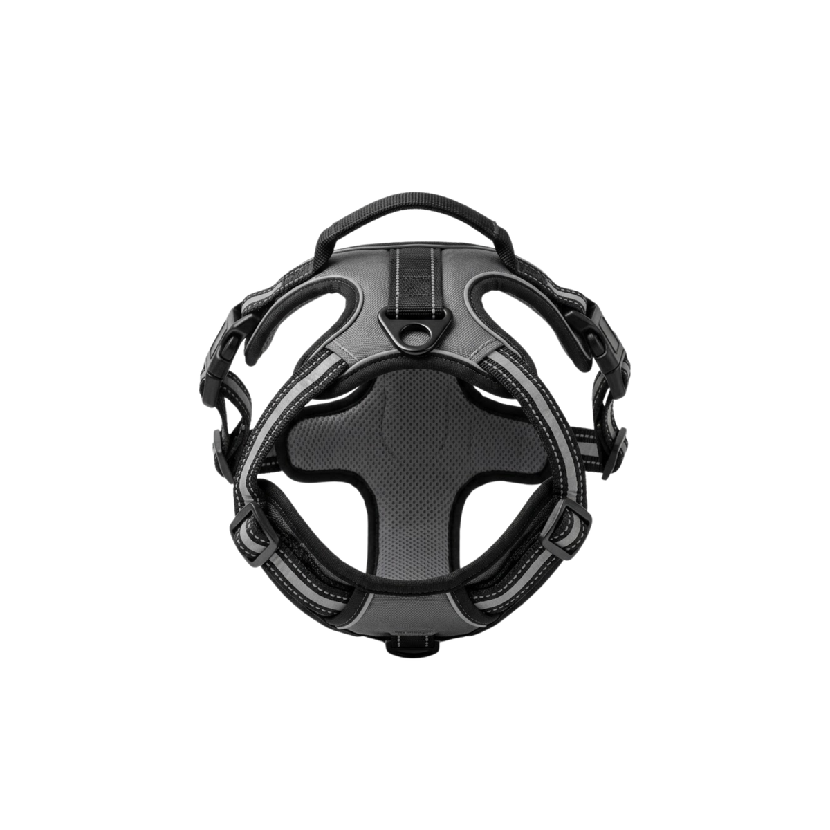 Divo Reflect Harness