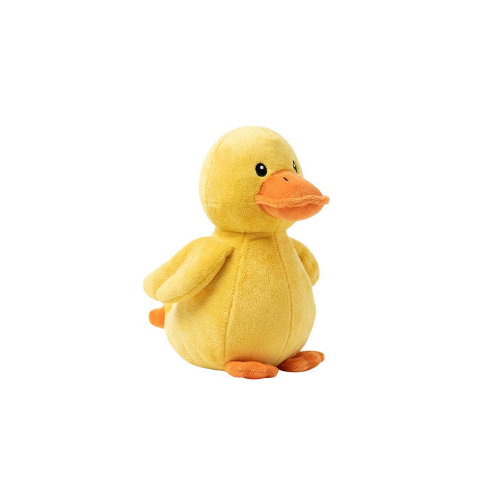 Duck Dog Toy