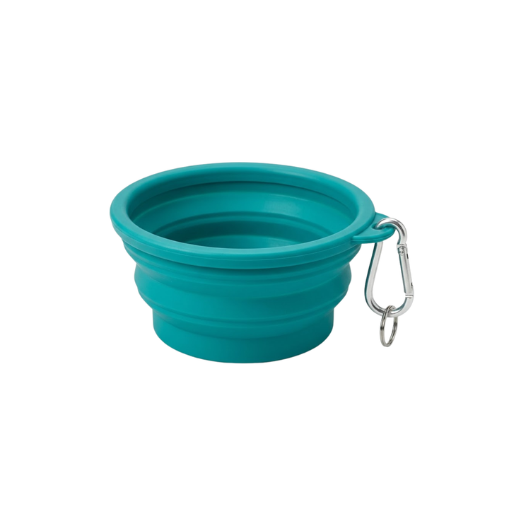 Silicone Travel Bowl