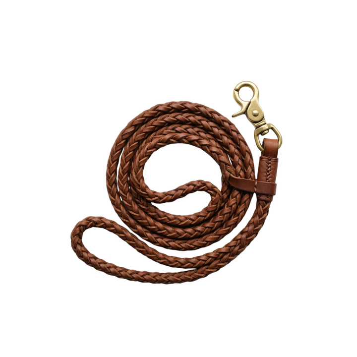 Timberwolf Leather Dog Lead – Brown